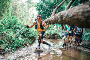 BIB: 
                            <button type="button" onclick="openModal(25373624)" class="btn btn-primary btn-sm float-right btn-popup" data-toggle="modal" data-target=".modal-high-quality">
                        <i class="fas fa-shopping-cart"></i> Add to Cart
                    </button>
                                            <button type="button" onclick="isThisMe(25373624, true)" class="btn btn-success btn-sm float-right btn-popup btn-isme hidden" data-toggle="tooltip" data-placement="bottom" title="นี่คือรูปของคุณใช่ไหม คลิกที่นี่เพื่อเอาเข้าอัลบั้ม">
                        <i class="fas fa-plus"></i> Add to album
                    </button>
                    <button type="button" onclick="isThisMe(25373624, false)" class="btn btn-warning btn-sm float-right btn-popup btn-isnotme hidden">
                        <i class="fas fa-ban"></i> Remove from album
                    </button>